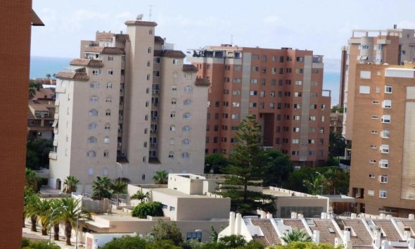 Rynek Pierwotny - Apartament - Alicante