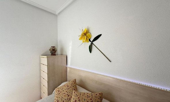 New Build - Penthouses - Torrevieja