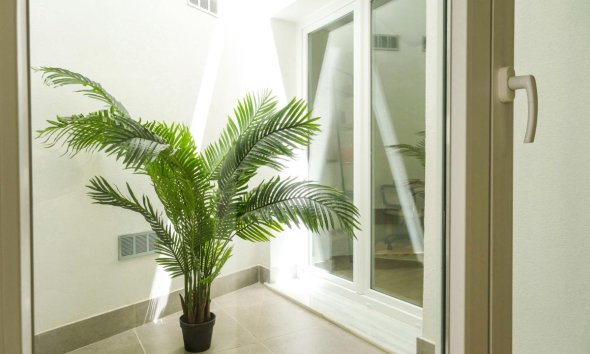 Obra nueva - Plantas bajas - Málaga