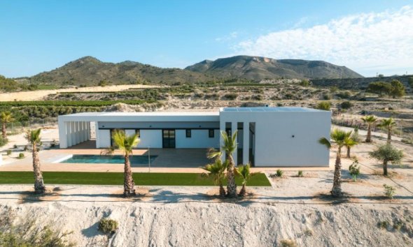 New Build - Villa - Pinoso
