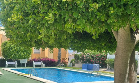 Reventa - Bungalow - La Mata