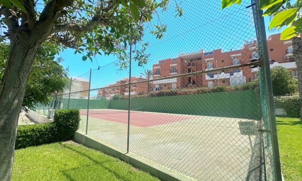 Reventa - Bungalow - La Mata