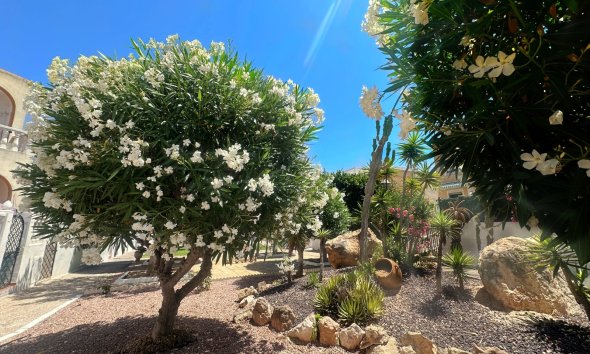 Reventa - Bungalow - La Mata