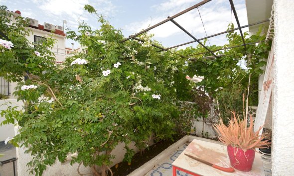 Resale - Terraced house / Townhouse - Torrevieja - El limonar