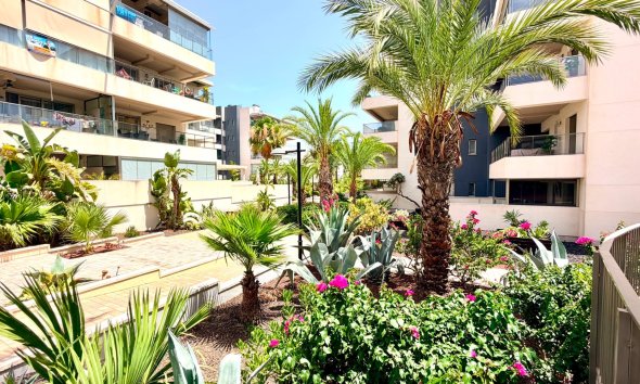 Resale - Apartment - Orihuela Costa - La Zenia