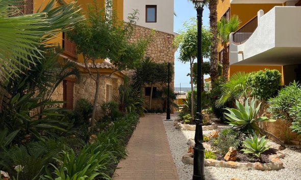 Reventa - Apartamento / Dúplex - Punta Prima