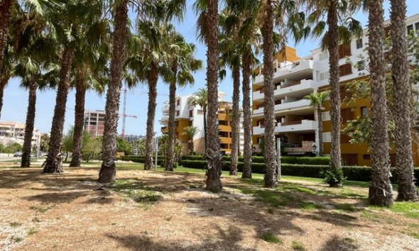 Reventa - Apartamento / Dúplex - Punta Prima