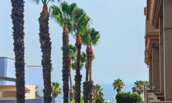 Rynek Wtórny - Apartament - Orihuela Costa - Aguamarina
