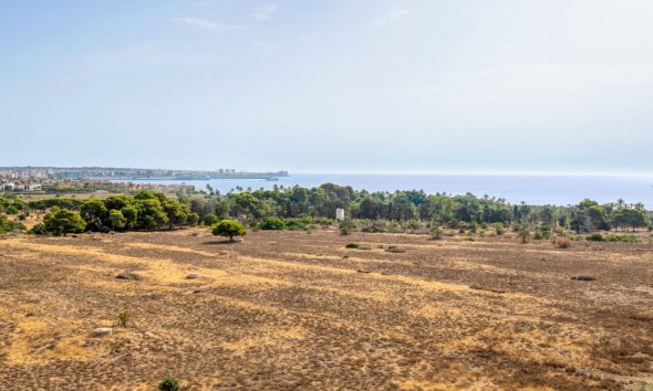 Resale - Apartment - Orihuela Costa - Punta Prima