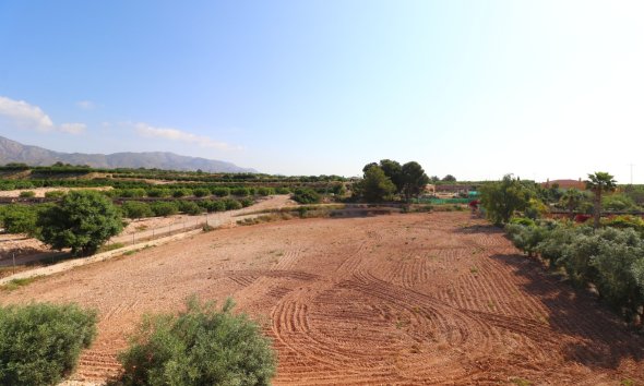 Resale - Farm Estate / Country Property - Albatera - Albatera - Country