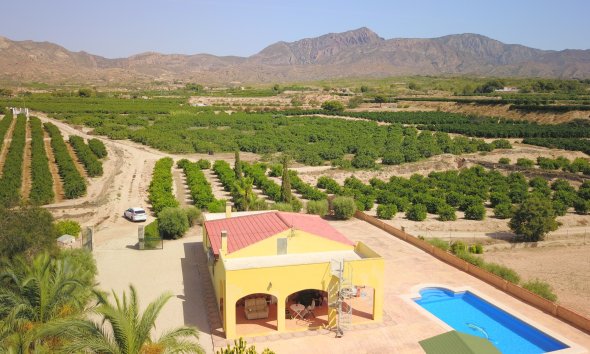 Resale - Farm Estate / Country Property - Albatera - Albatera - Country
