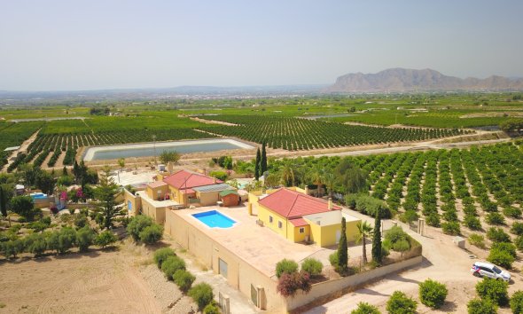 Resale - Farm Estate / Country Property - Albatera - Albatera - Country