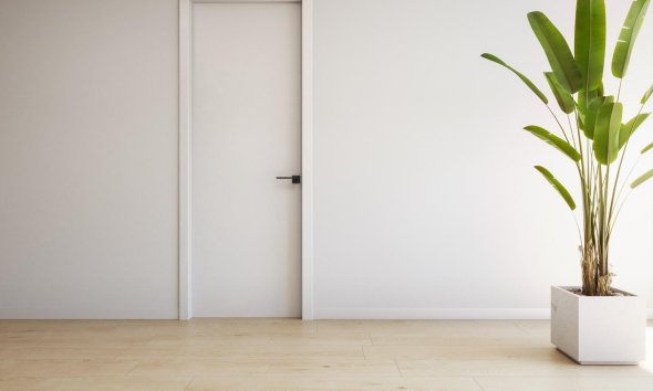 Obra nueva - Apartamento / Dúplex - Torrevieja