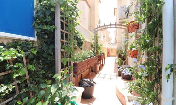 Reventa - Villa - Algorfa - Montebello