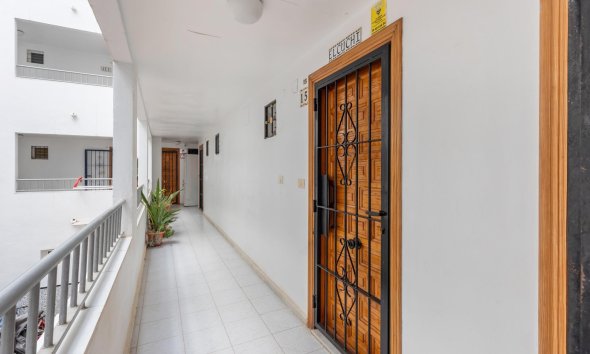 Reventa - Apartamento - Torrevieja - Torreblanca