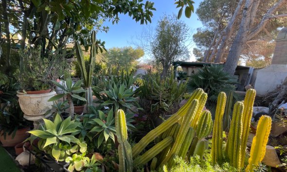 Reventa - Villa - Orihuela Costa - Lomas de Cabo Roig