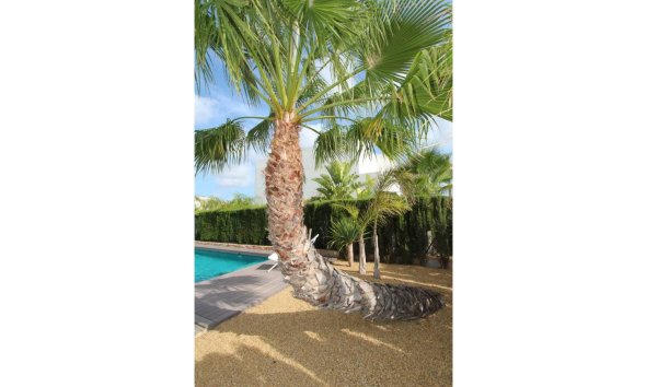 Reventa - Villa - Rojales - Ciudad Quesada