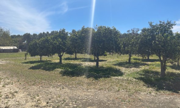 Resale - Villa - Guardamar del Segura - Valencian Community