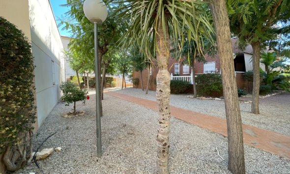 Reventa - Adosado - Elche - Center