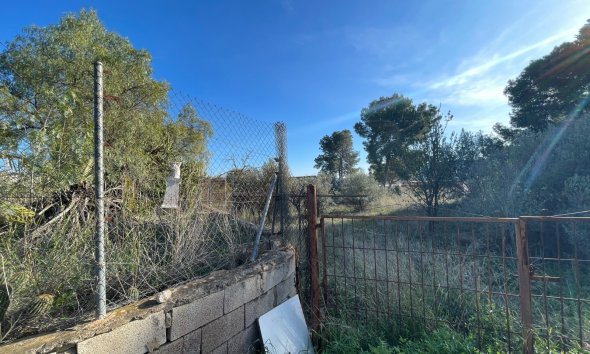Reventa - Finca - Aspe