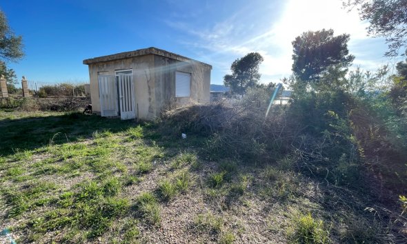 Reventa - Finca - Aspe