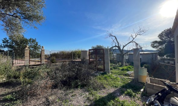 Reventa - Finca - Aspe