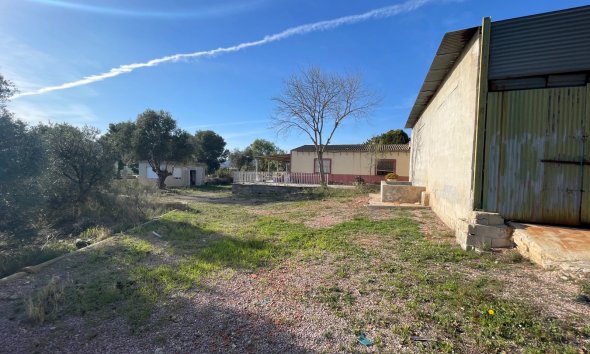 Reventa - Finca - Aspe