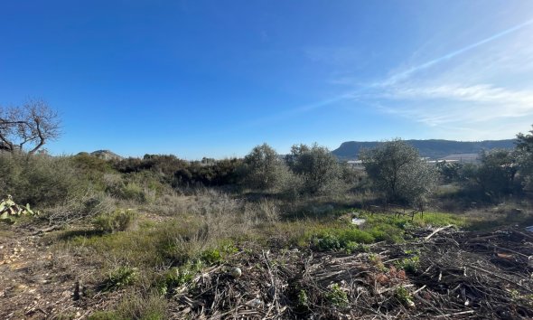 Reventa - Finca - Aspe