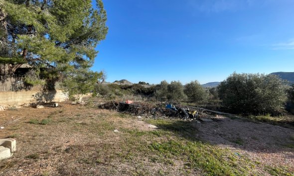 Reventa - Finca - Aspe