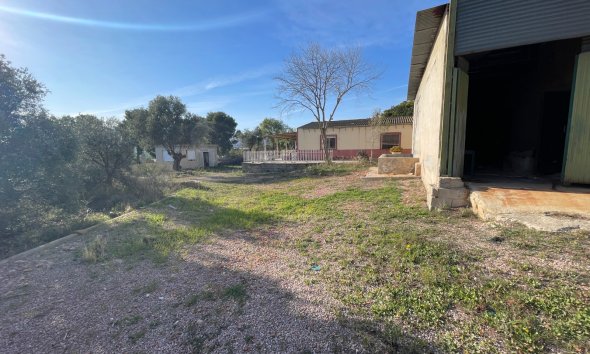 Reventa - Finca - Aspe
