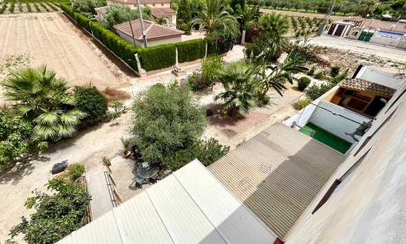 Resale - Apartment - Daya Nueva