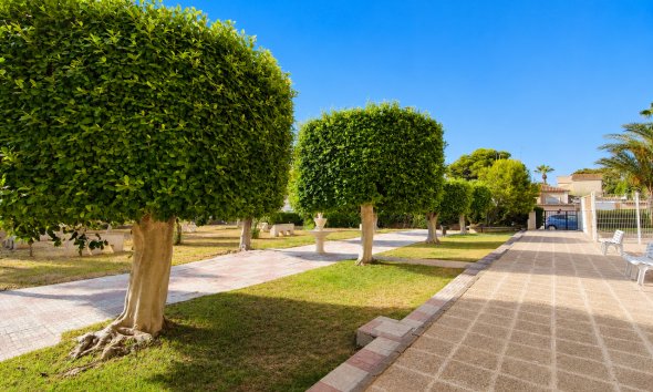 Reventa - Apartamento - Orihuela Costa - La Zenia