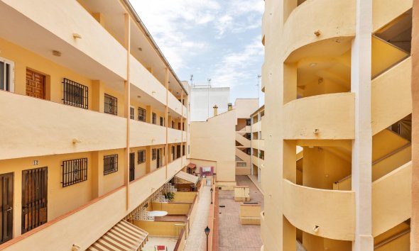 Rynek Wtórny - Apartament - Guardamar del Segura - Centro