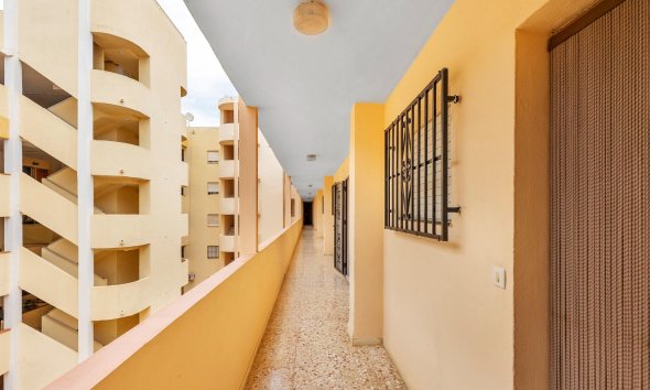 Rynek Wtórny - Apartament - Guardamar del Segura - Centro