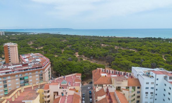 Rynek Wtórny - Apartament - Guardamar del Segura - Centro