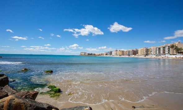 Rynek Wtórny - Apartament - Torrevieja - Estacion de autobuses