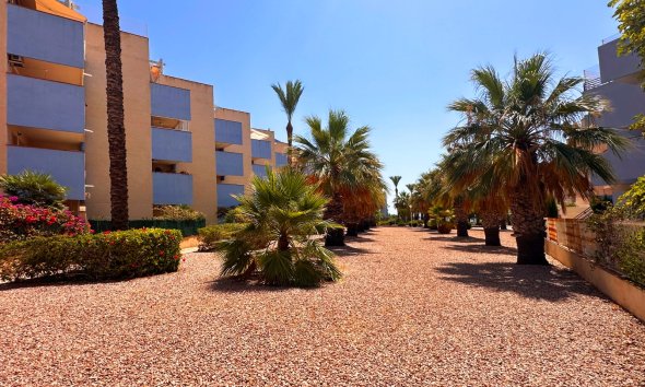 Rynek Wtórny - Apartament - Orihuela Costa - Agua Marina