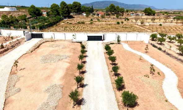 Reventa - Villa / Casa - Pinoso