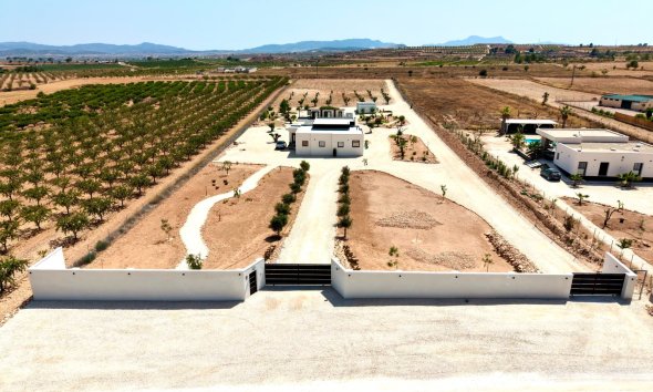 Reventa - Villa / Casa - Pinoso
