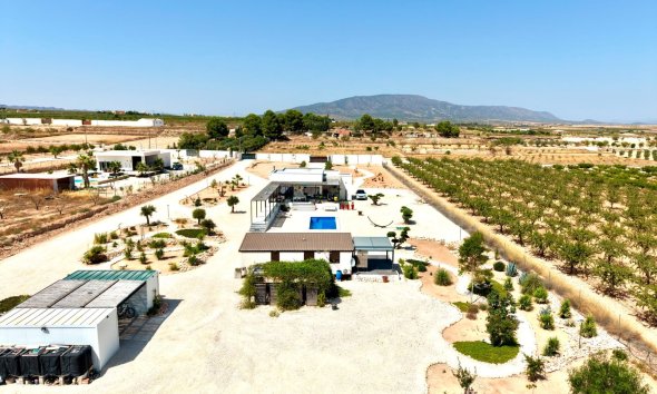Reventa - Villa / Casa - Pinoso