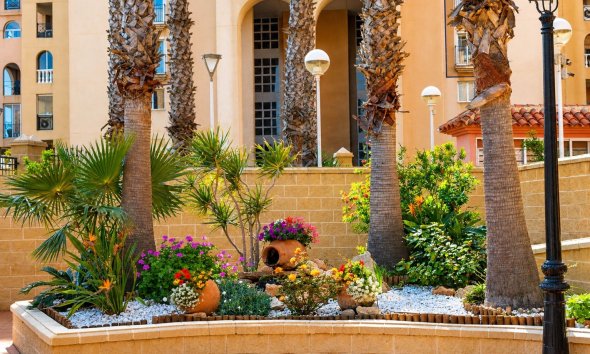 Resale - Apartment - Torrevieja - Playa de los Locos