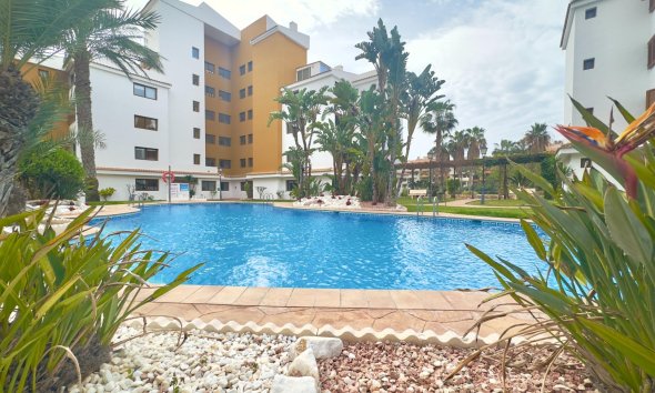 Resale - Apartment - Torrevieja - Punta Prima