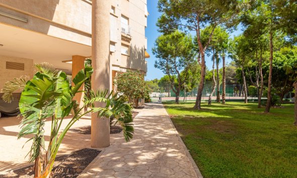 Resale - Apartment - Orihuela Costa - Campoamor