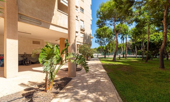 Resale - Apartment - Orihuela Costa - Campoamor
