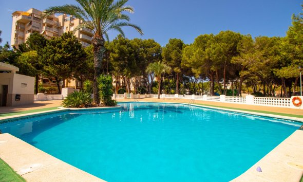 Resale - Apartment - Orihuela Costa - Campoamor