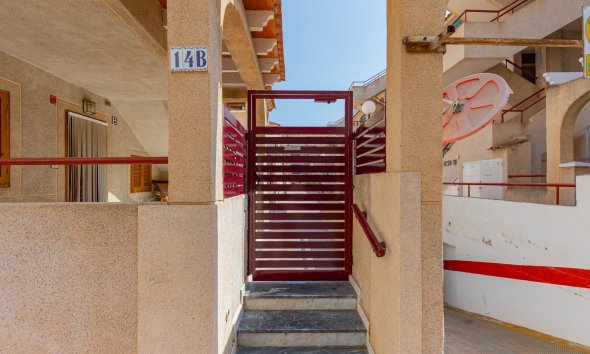 Reventa - Apartamento - Torrevieja - Acequion