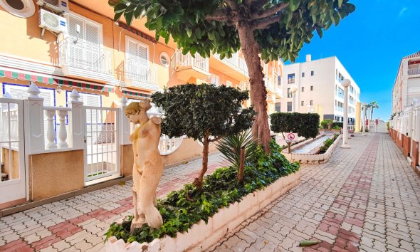 Reventa - Apartamento - Torrevieja - La Mata