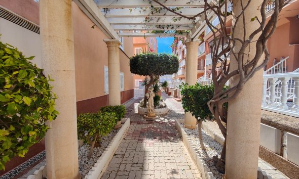 Reventa - Apartamento - Torrevieja - La Mata