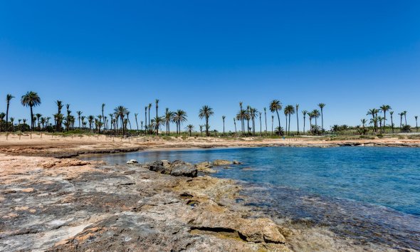 Resale - Apartment - Torrevieja