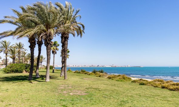 Resale - Apartment - Torrevieja